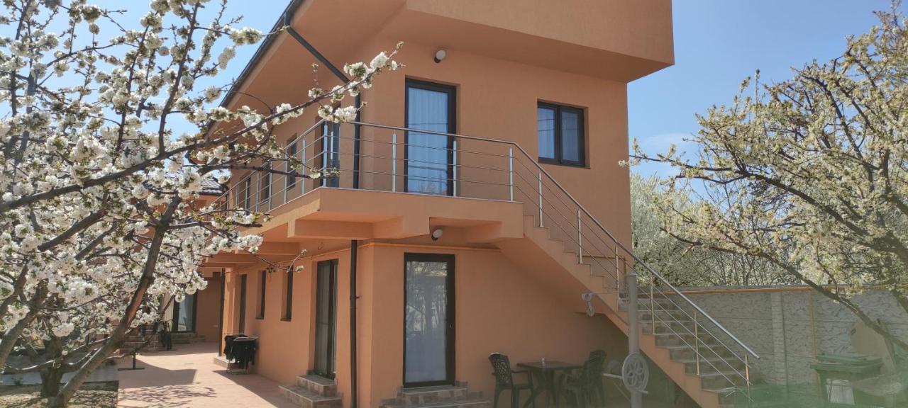 Home Naya Bukarest Kültér fotó