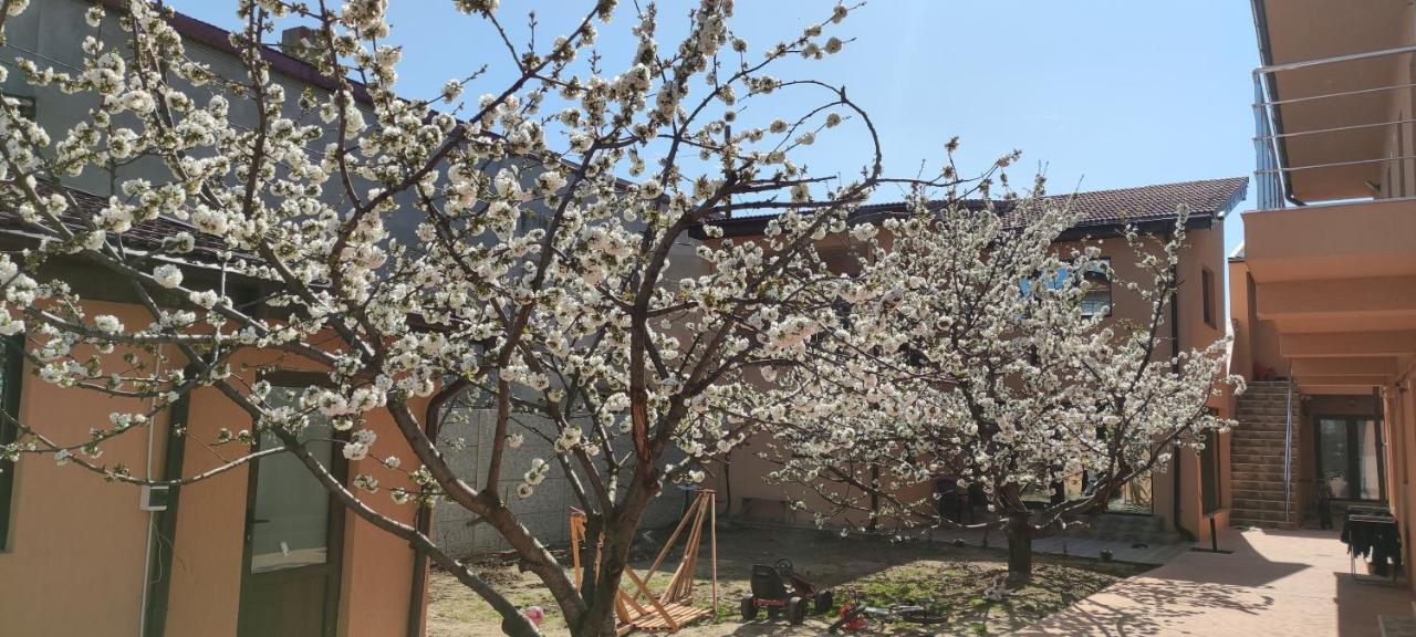 Home Naya Bukarest Kültér fotó